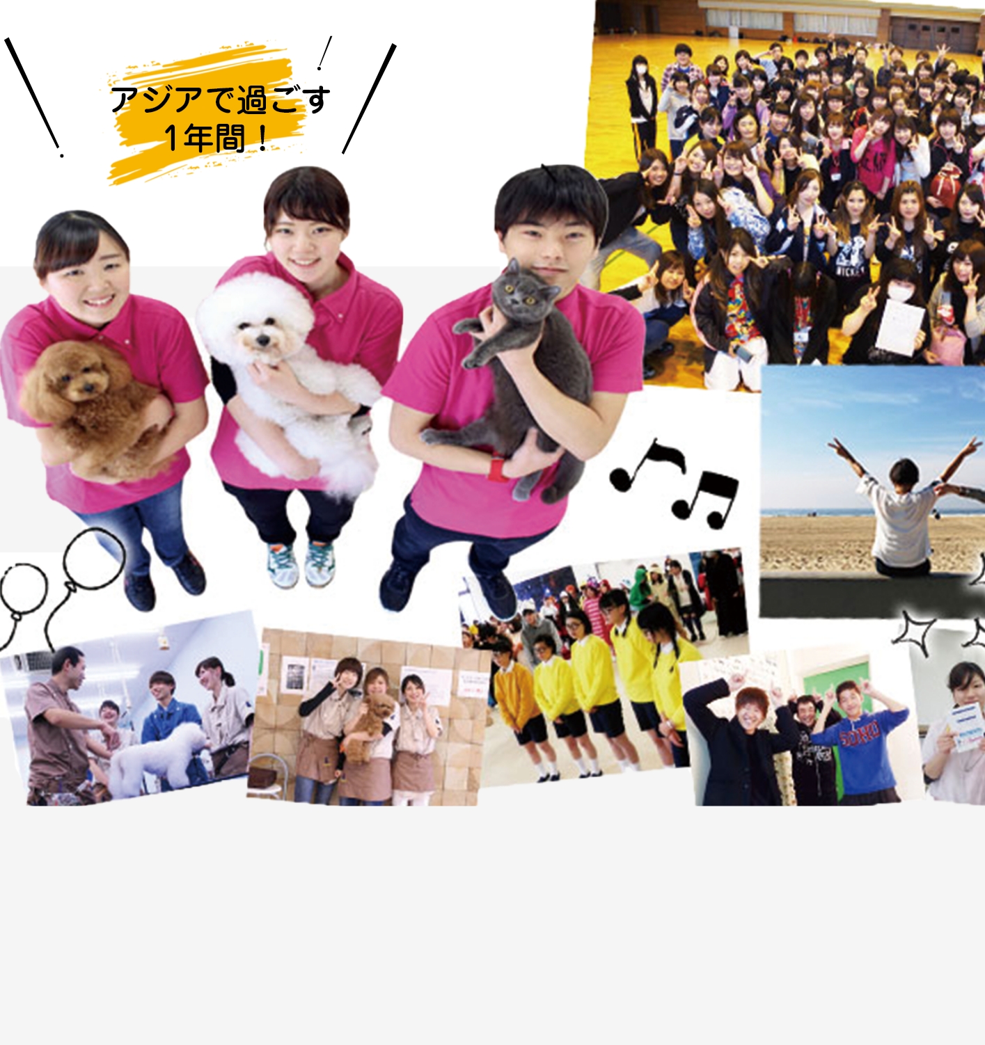イベント 研修 動物専門学校 ペット トリマー 水族館 動物園の飼育員 動物看護師 ドッグトレーナー を目指す茨城県 アジア動物専門学校