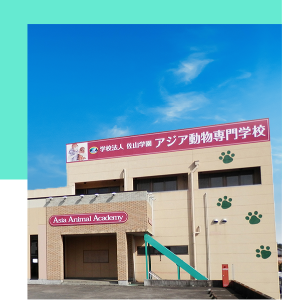 アジア動物看護理学療法専門学校 動物専門学校 ペット トリマー 水族館 動物園の飼育員 動物看護師 ドッグトレーナー を目指す茨城県 アジア動物 専門学校