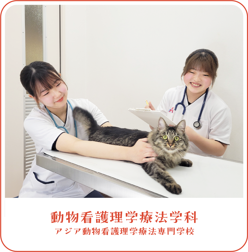 愛玩動物看護師理学療法学科