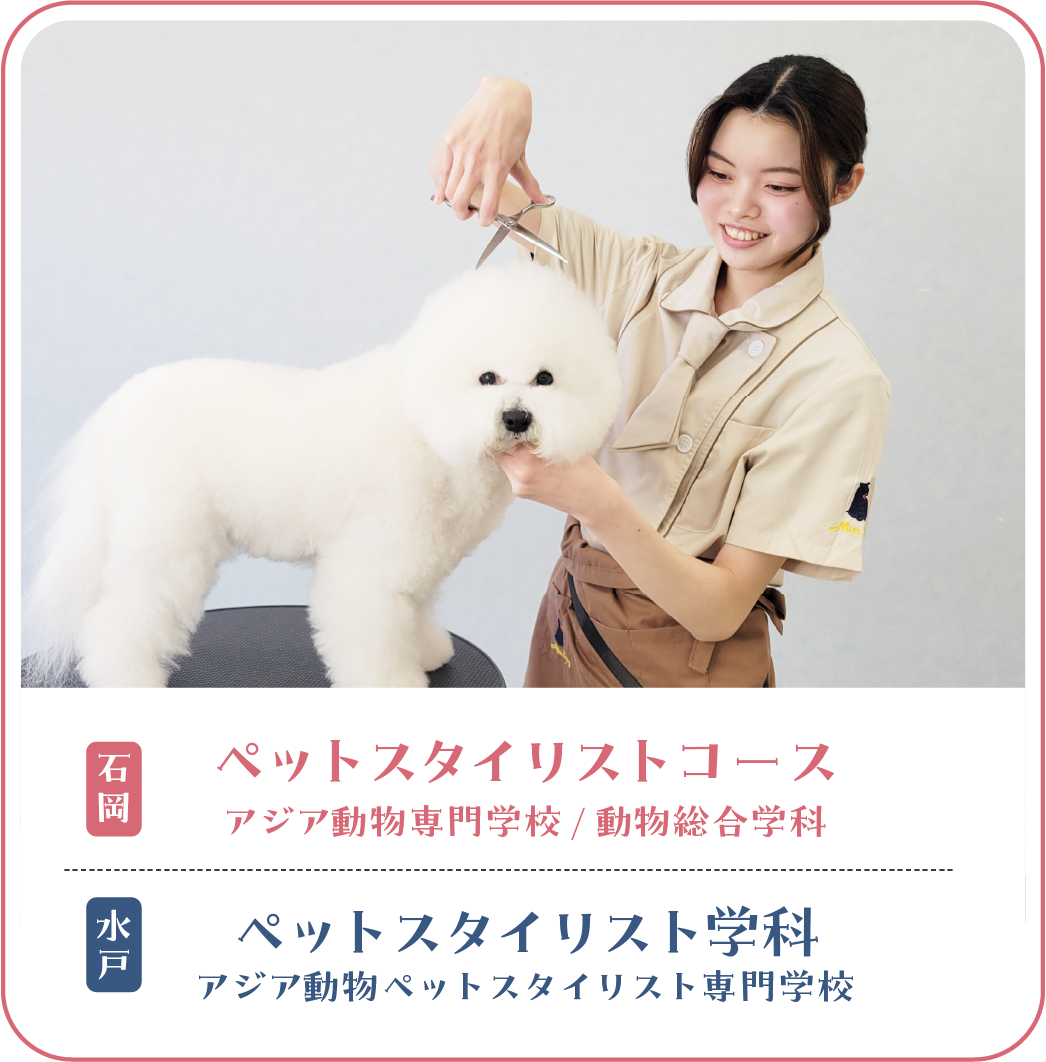 ペットスタイリスト学科