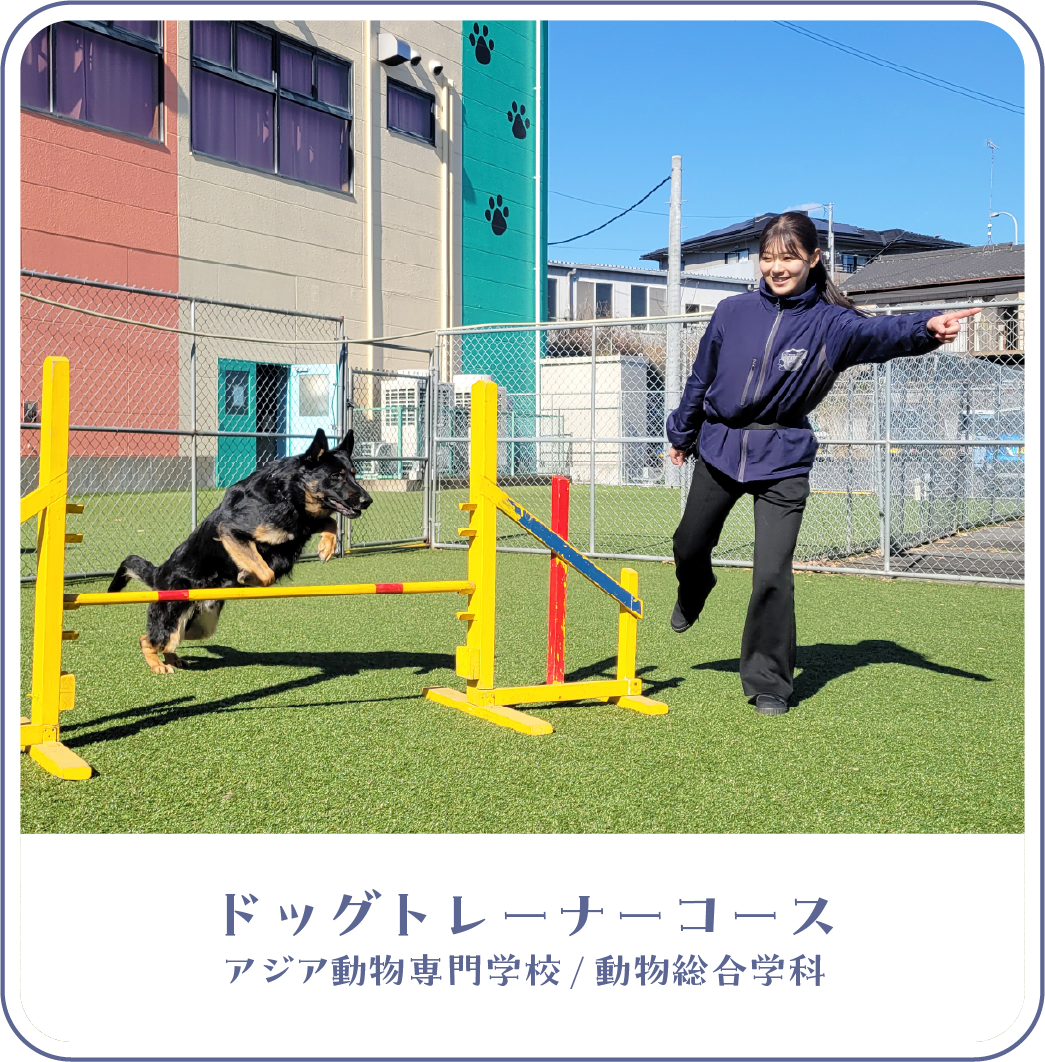 ドッグトレーナーコース