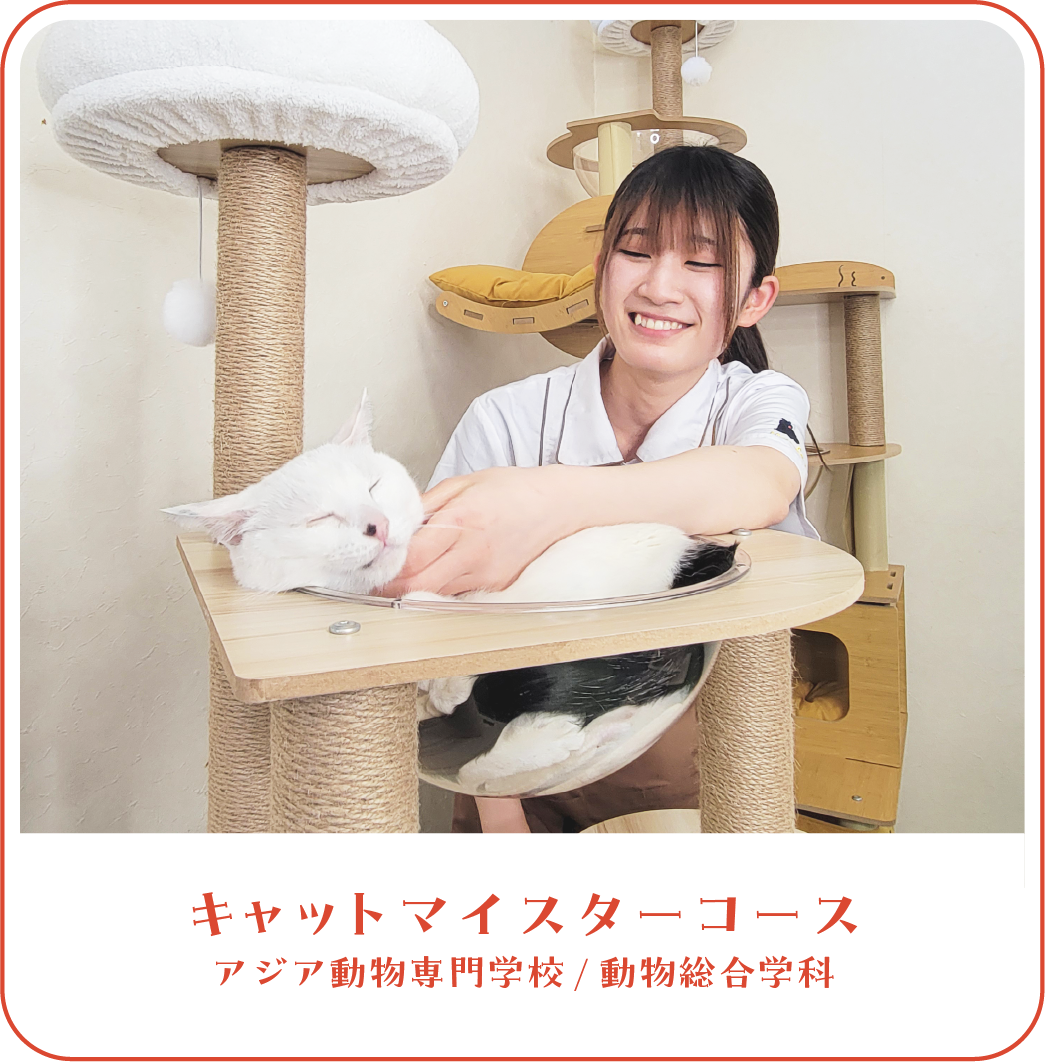キャットマイスターコース