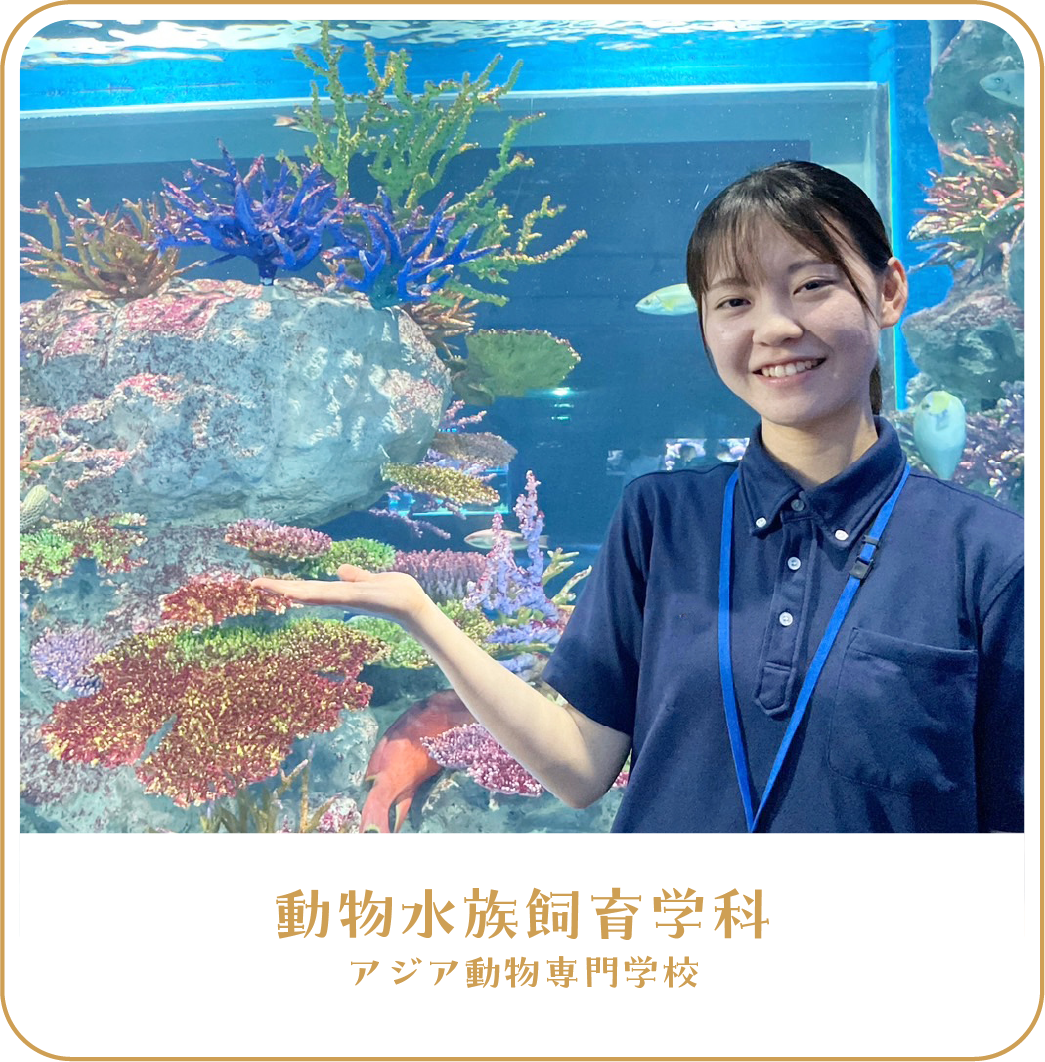 動物水族飼育学科