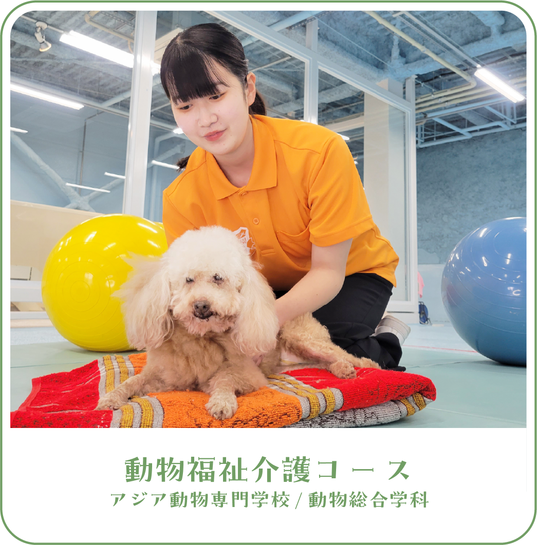 動物福祉介護コース