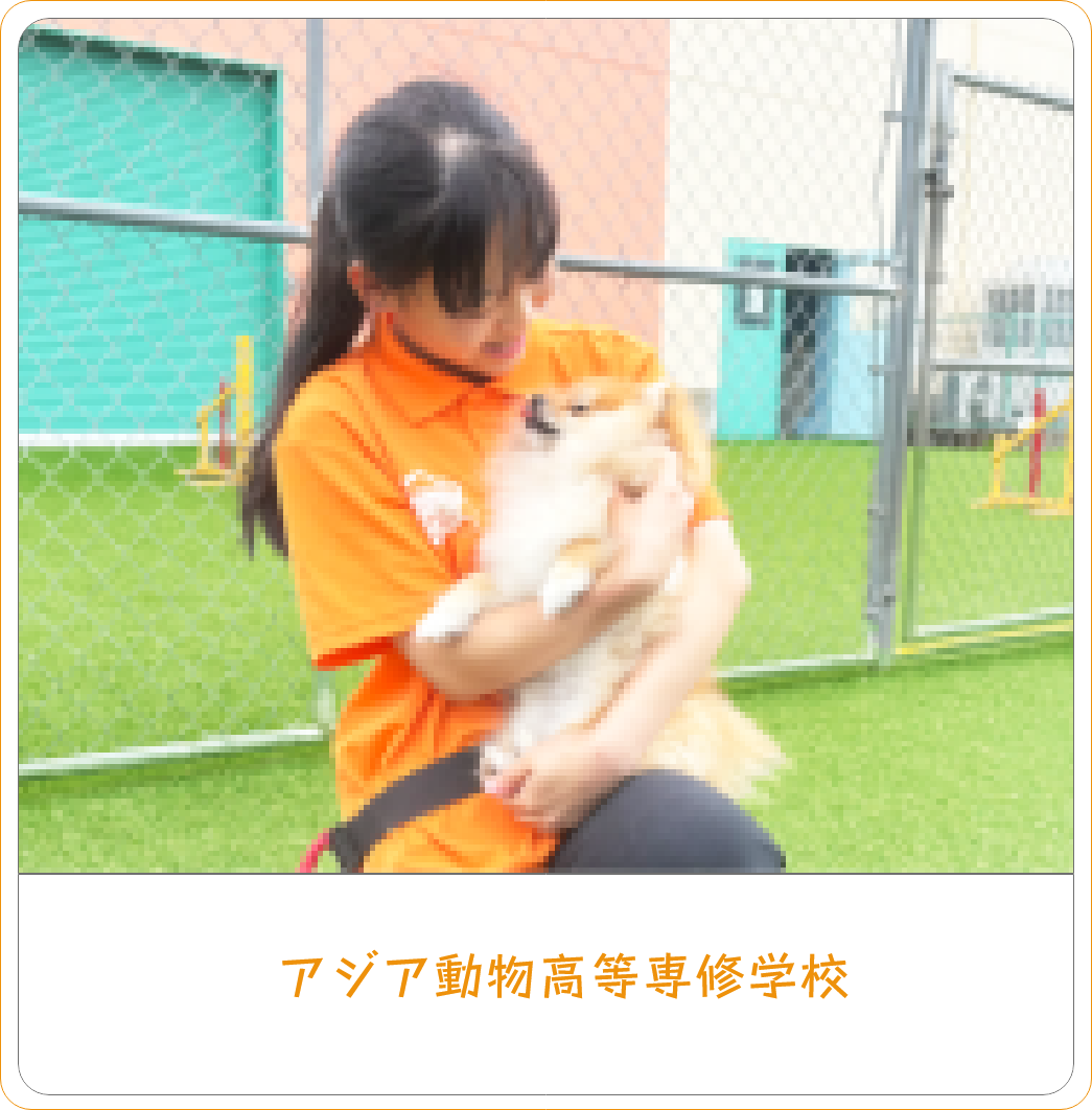 高等専修学校